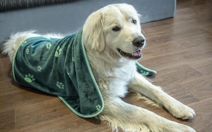 Deka pro mazlíčky ŠKODA