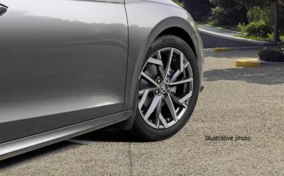 Lapače nečistot přední - Škoda Octavia IV