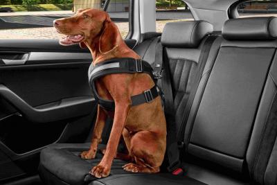 Náhled Bezpečnostní pás pro psy vel. S, M, L, XL