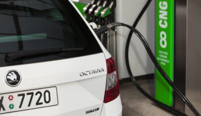 G-TEC zadní nápis - Octavia III