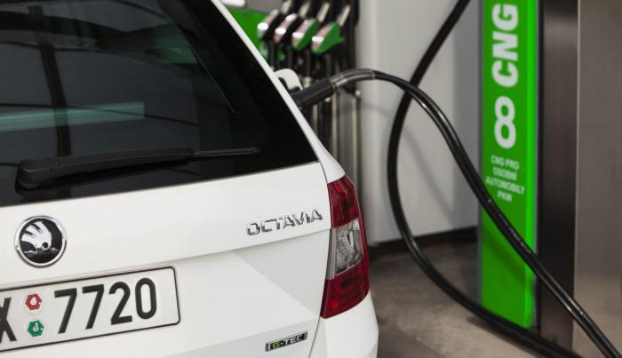 G-TEC zadní nápis - Octavia III